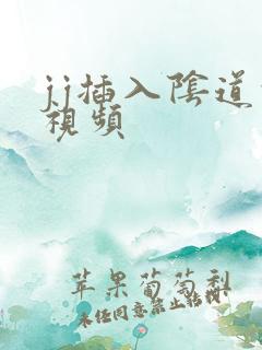 jj插入阴道的视频