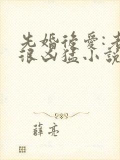 先婚后爱:老公很凶猛小说在线看