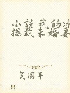 小说 我的冰山总裁未婚妻