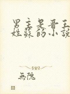 男主是晋王女主姓苏的小说