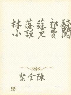 林落苏祁骁穿越小说免费阅读