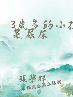 3岁多的小孩总是尿床