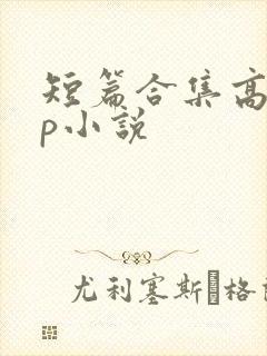 短篇合集高hnp小说