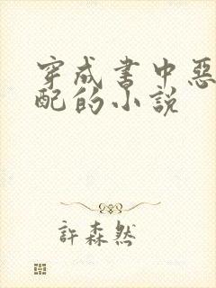穿成书中恶毒女配的小说