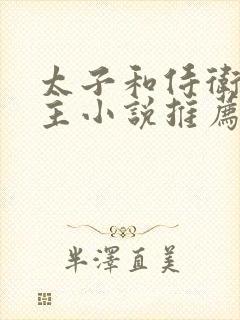 太子和侍卫双男主小说推荐