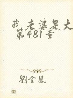 我老婆是大明星 第481章