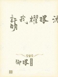 许我耀眼 沈皓明