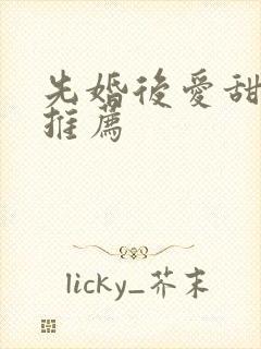 先婚后爱甜宠文推荐