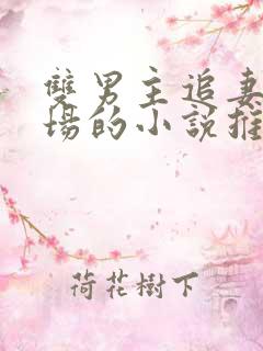 双男主追妻火葬场的小说推荐