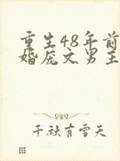 重生48年前军婚庞文男主姓顾的小说