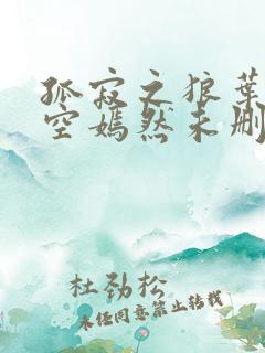 孤寂之狼叶凡司空嫣然未删减txt