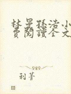 林曼孙浩小说免费阅读全文最新章节