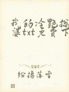 我的冷艳总裁老婆txt免费下载