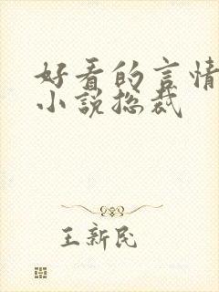 好看的言情甜宠小说总裁