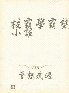 校霸学霸双男主小说