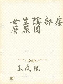 女生阴部瘙痒什么原因