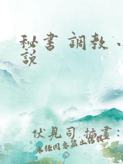 秘书 调教 小说