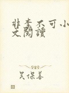 非李不可小说全文阅读