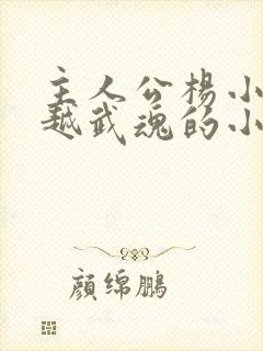 主人公杨小天穿越武魂的小说