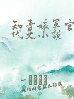 知青嫁军官的年代文小说