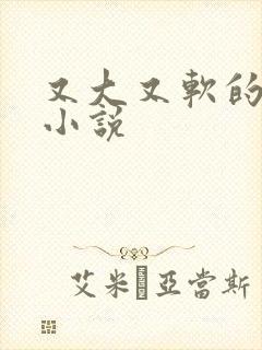 又大又软的奶子小说