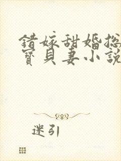 错嫁甜婚总裁的宝贝妻小说完整