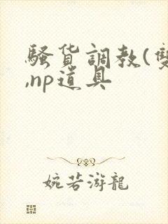 骚货调教(双性,np道具