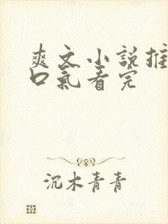 爽文小说推文一口气看完