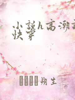 小说h高潮调教快穿