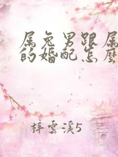 属兔男跟属猴女的婚配怎么样