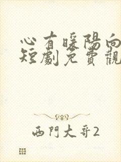 心有暖阳向云霄短剧免费观看全集