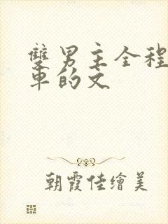 双男主全程都是车的文