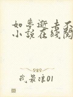 如梦逝去不可追小说在线阅读