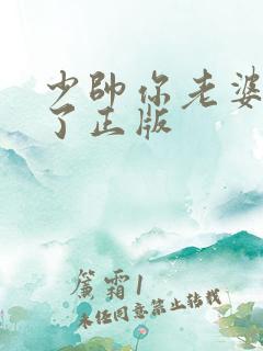 少帅你老婆又跑了正版