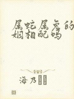 属蛇属兔的人婚姻相配吗