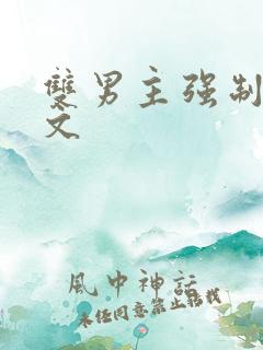 双男主强制爱车文