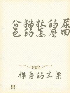 公猫拉的尿是红色的怎么回事