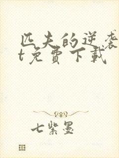 匹夫的逆袭txt免费下载