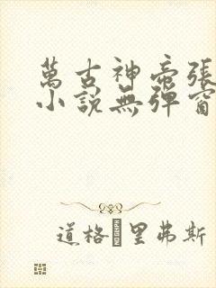 万古神帝张若尘小说无弹窗