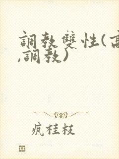 调教双性(高h,调教)