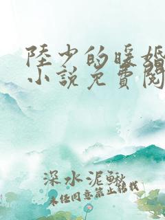 陆少的暖婚新妻小说免费阅读全文