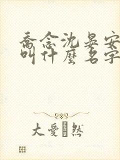 乔念沈晏安小说叫什么名字