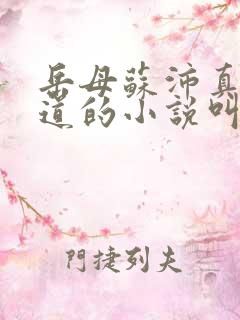 岳母苏沛真和林道的小说叫什么名字