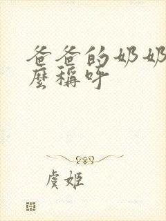 爸爸的奶奶叫什么称呼