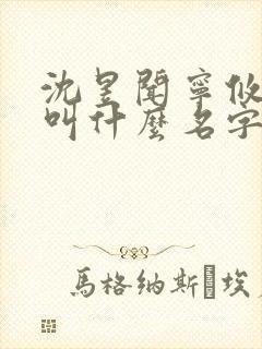 沈昱闻宁攸小说叫什么名字