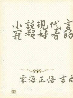 小说现代言情甜宠超好看的有肉