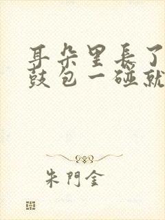 耳朵里长了个小鼓包一碰就疼怎么回事