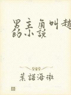 男主角叫赵亦辰的小说