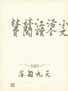 林婷江浩小说免费阅读全文无弹窗