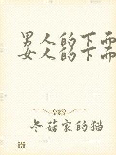 男人的下面插入女人的下面视频